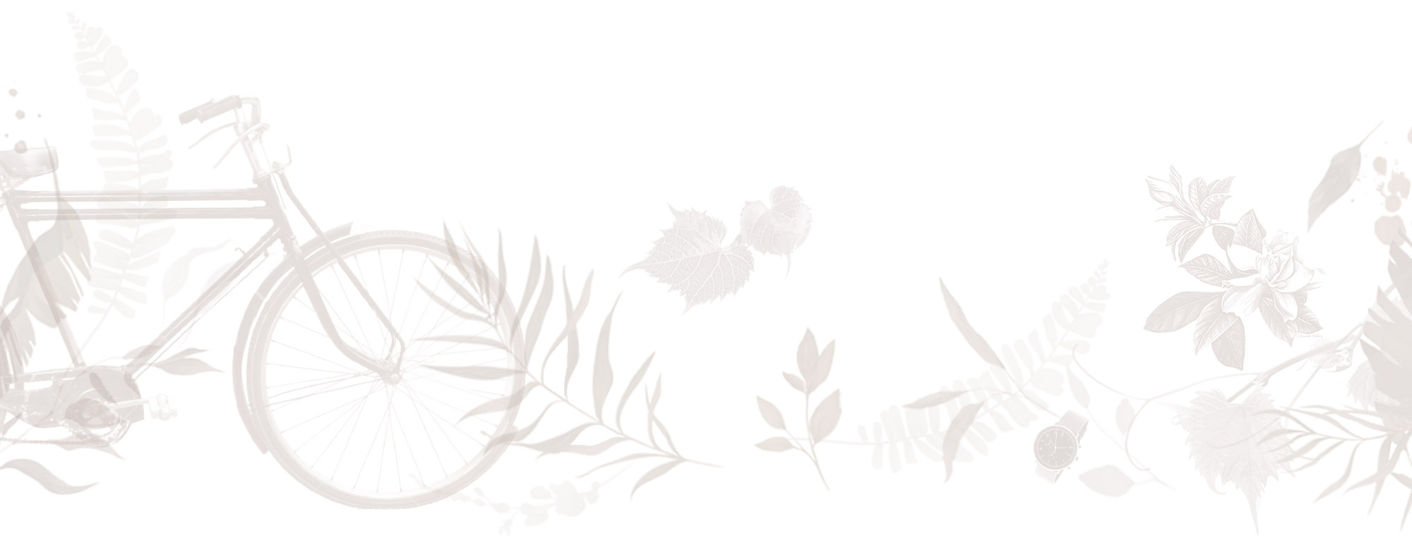 middle-section-2000px